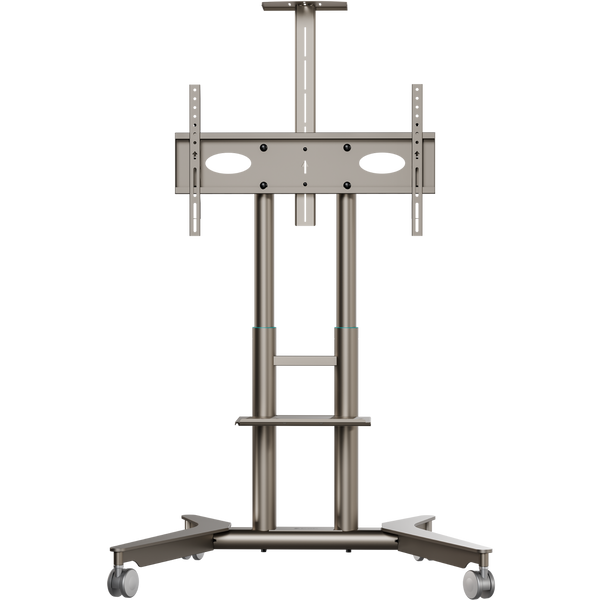 Support TV mobile pour 32"–75", max. 60 kg, champagne TS1571