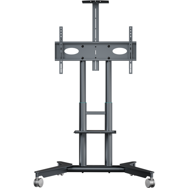 Support TV mobile pour 32"–75", max. 60 kg, graphite TS1571