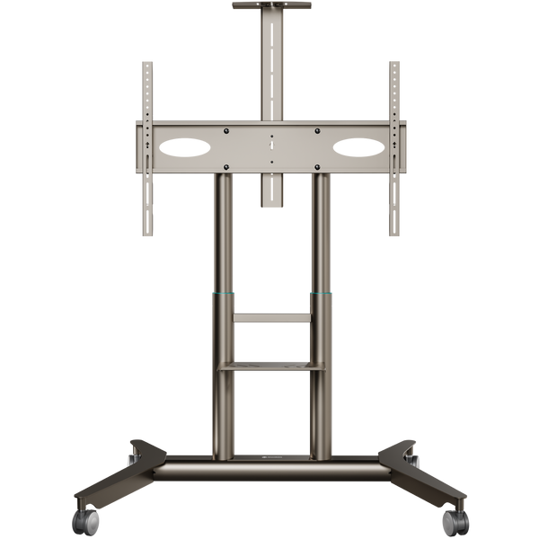Support TV mobile pour 55"–90", max. 90 kg, champagne TS1871