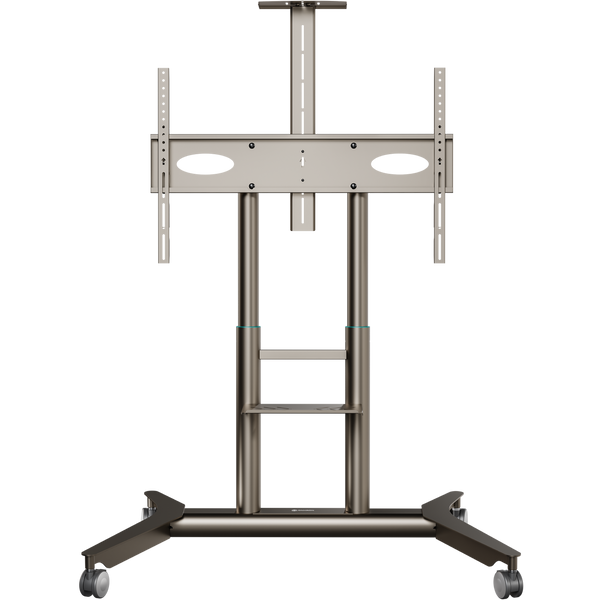 Support TV mobile pour 55"–90", max. 90 kg, champagne TS1871